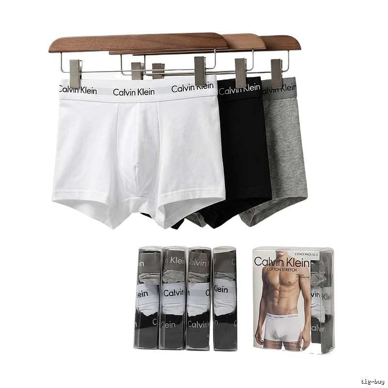 Calvin Klein minimalist style underwear (white)