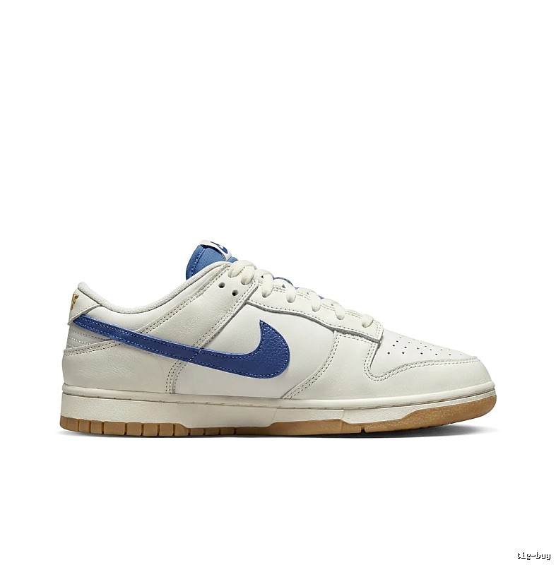 Nike Dunk Retro Style White and Blue Shoes